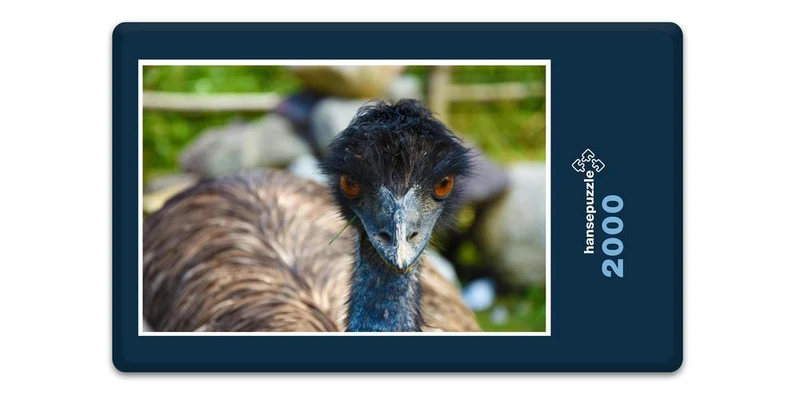 18307 Natur - Vogel Puzzle