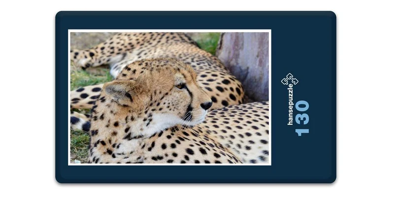 18304 Natur - Leopard Puzzle