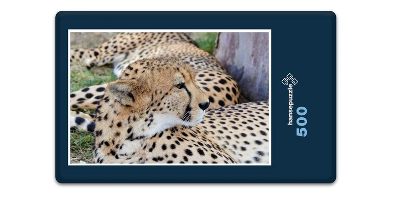 18304 Natur - Leopard Puzzle