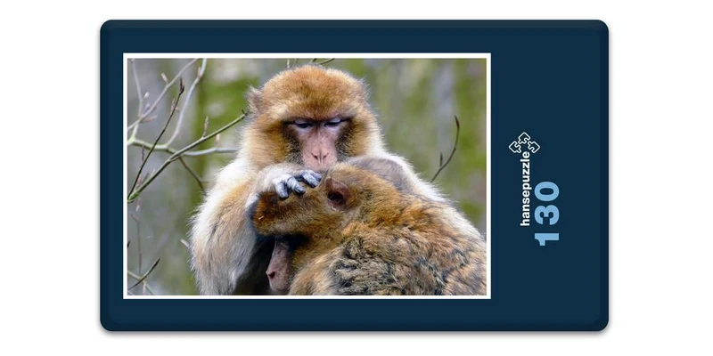 18300 Natur - Affe Puzzle