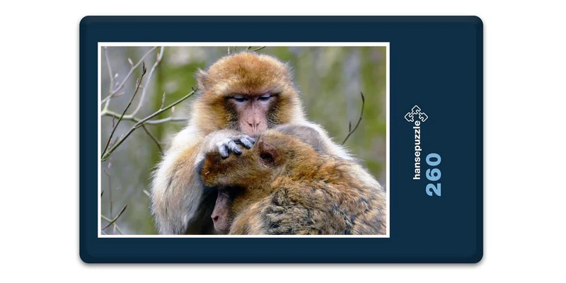 18300 Natur - Affe Puzzle