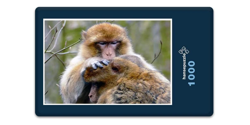18300 Natur - Affe Puzzle