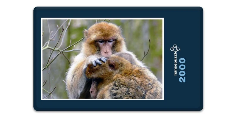 18300 Natur - Affe Puzzle