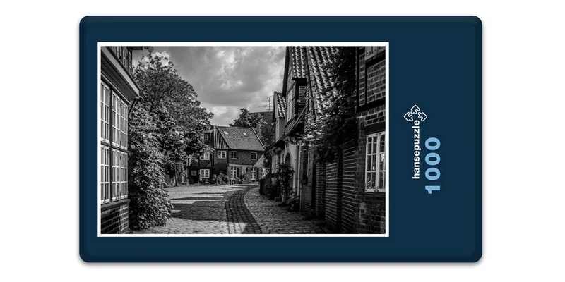 16978 Reisen - Stadt Lüneburg Puzzle