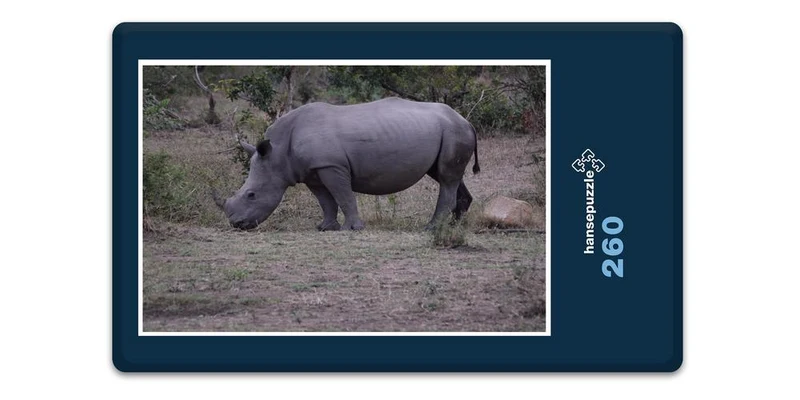 18299 Natur - Nashorn Puzzle