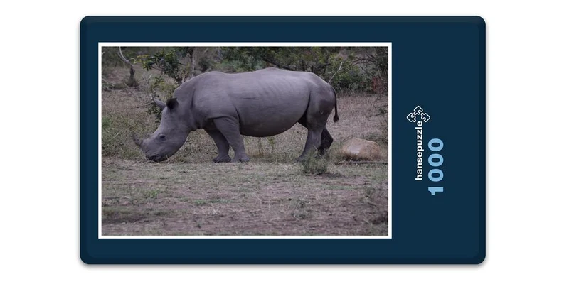 18299 Natur - Nashorn Puzzle