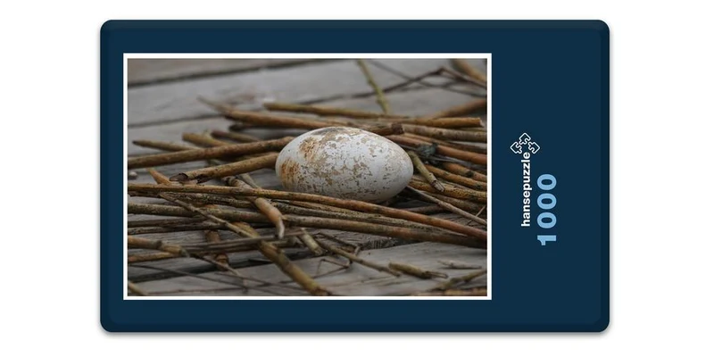 18080 Tierwelt - Ei Puzzle