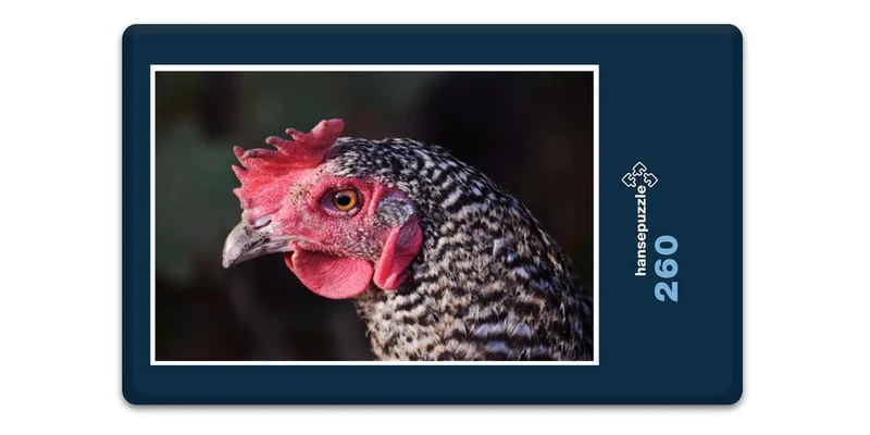 18079 Tierwelt - Hahn Puzzle