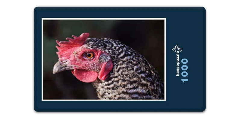 18079 Tierwelt - Hahn Puzzle