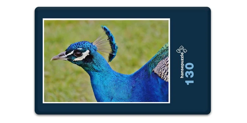 18077 Tierwelt - Pfau Puzzle
