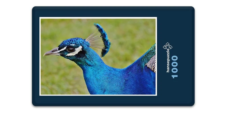 18077 Tierwelt - Pfau Puzzle