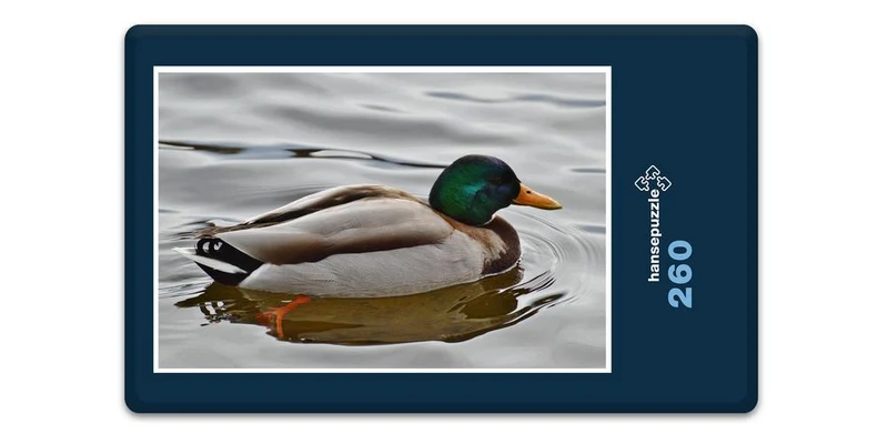 18076 Tierwelt - Ente Puzzle