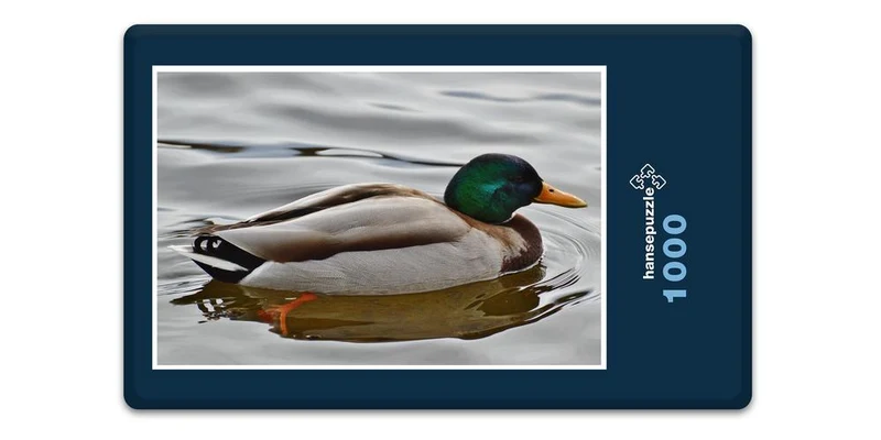 18076 Tierwelt - Ente Puzzle
