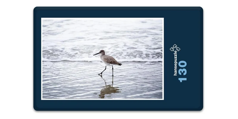 18075 Tierwelt - Vogel am Strand Puzzle