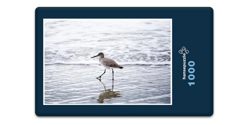 18075 Tierwelt - Vogel am Strand Puzzle