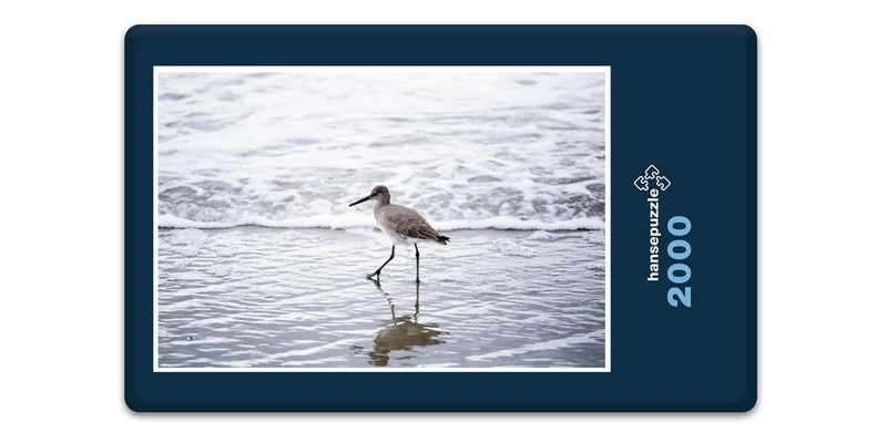 18075 Tierwelt - Vogel am Strand Puzzle