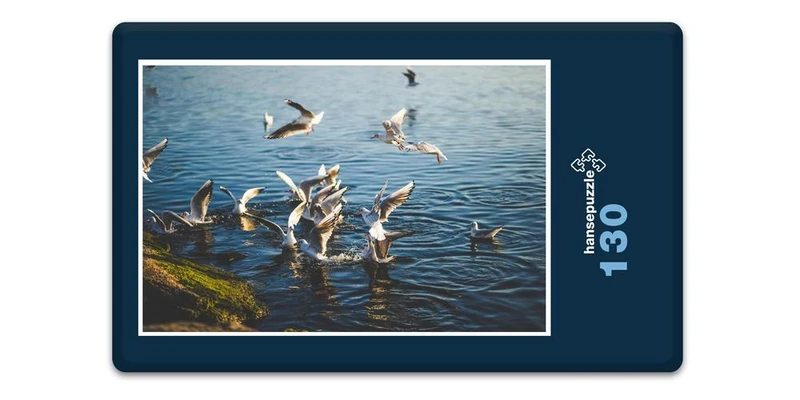 18074 Tierwelt - Möwen Puzzle