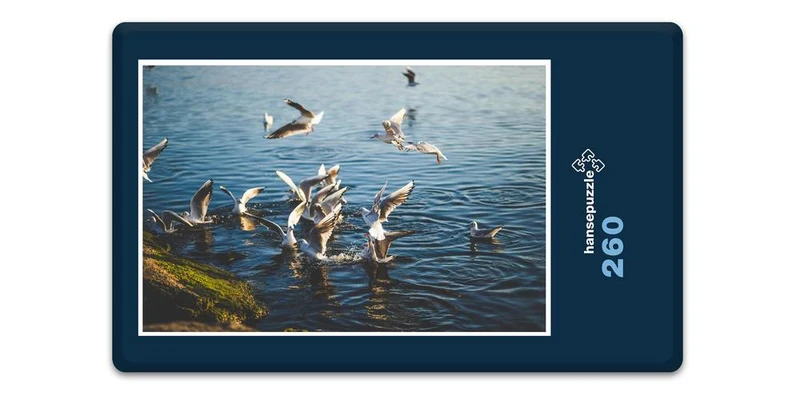 18074 Tierwelt - Möwen Puzzle