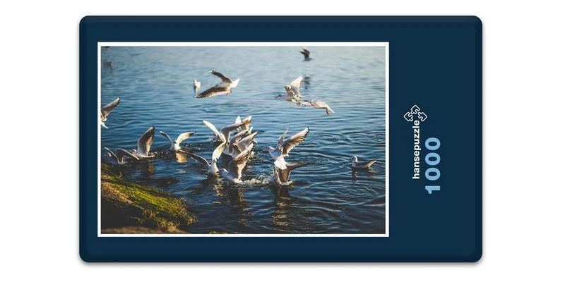 18074 Tierwelt - Möwen Puzzle