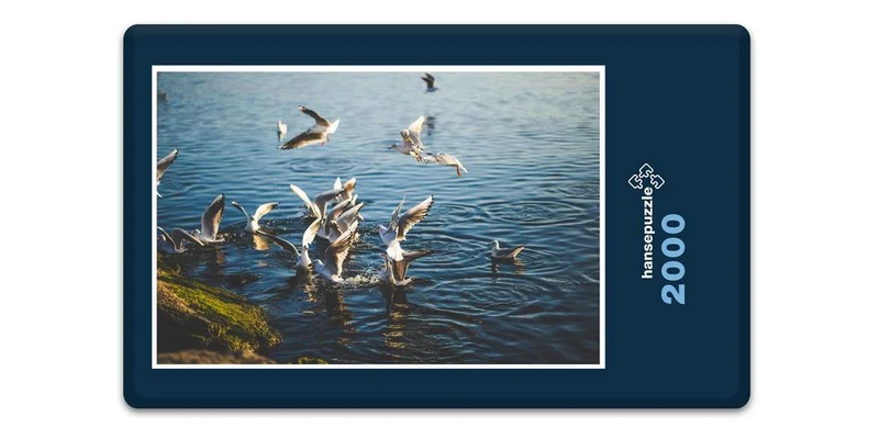 18074 Tierwelt - Möwen Puzzle
