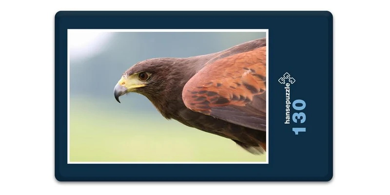 18072 Tierwelt - Raubvogel Puzzle