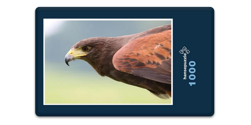18072 Tierwelt - Raubvogel Puzzle