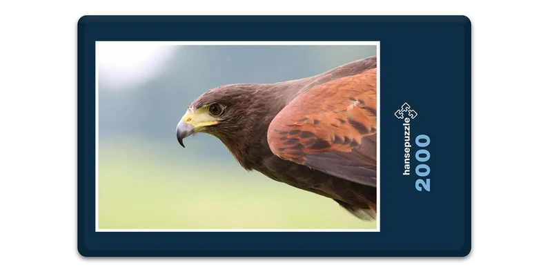 18072 Tierwelt - Raubvogel Puzzle