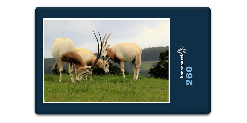 18297 Natur - Gemsen Puzzle