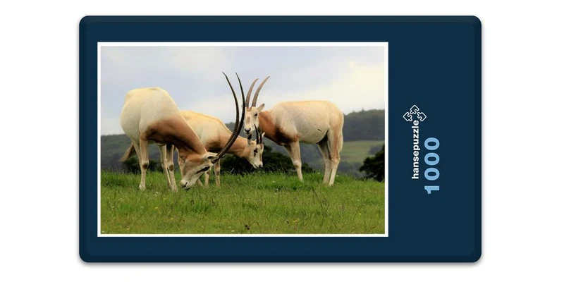 18297 Natur - Gemsen Puzzle