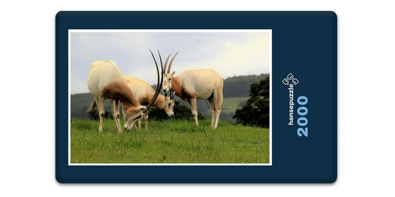 18297 Natur - Gemsen Puzzle