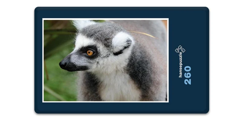 18295 Natur - Lemur Puzzle