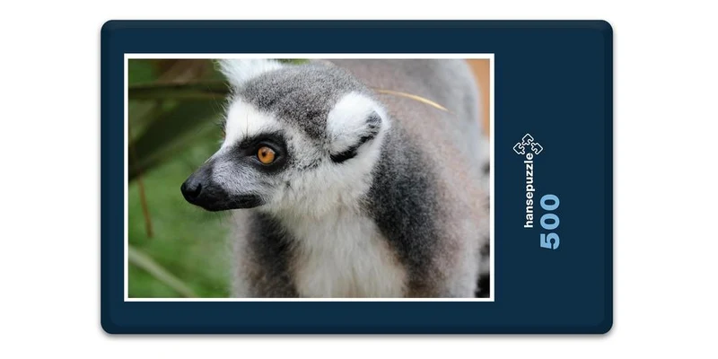 18295 Natur - Lemur Puzzle