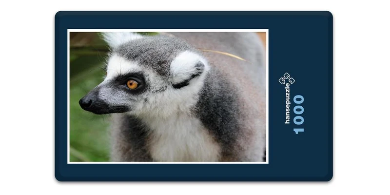 18295 Natur - Lemur Puzzle