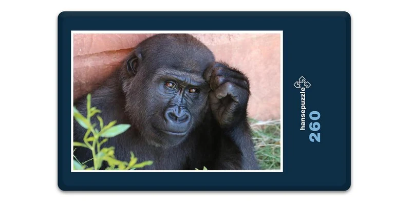 18291 Natur - Gorilla Puzzle