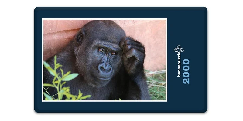 18291 Natur - Gorilla Puzzle