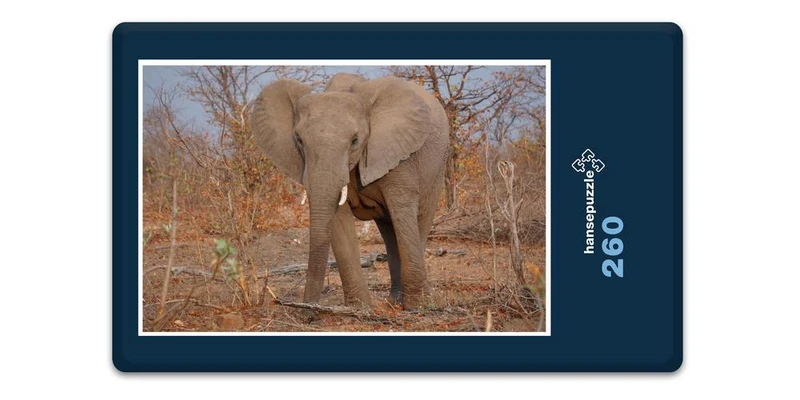 18289 Natur - Elefant Puzzle