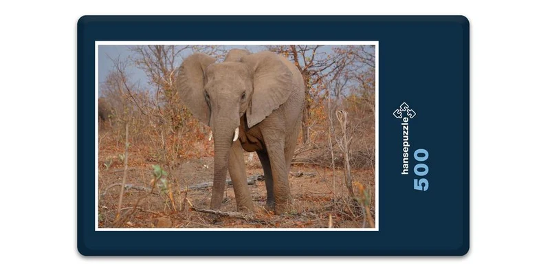 18289 Natur - Elefant Puzzle