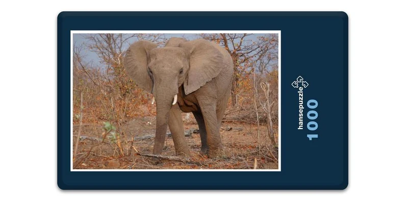18289 Natur - Elefant Puzzle