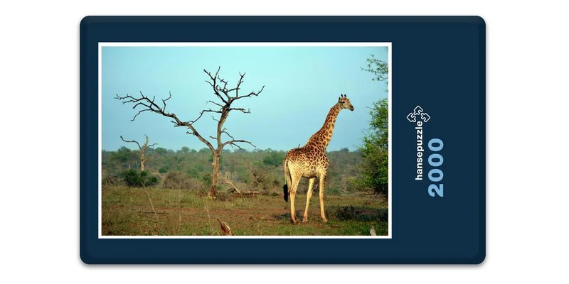 18286 Natur - Giraffe Puzzle