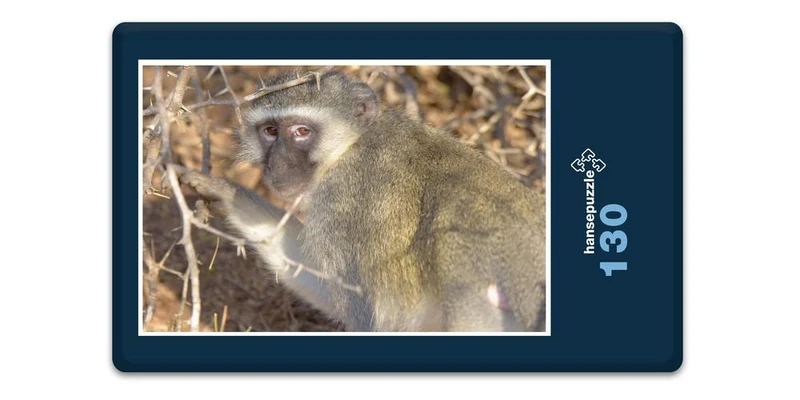 18279 Natur - Affe Puzzle