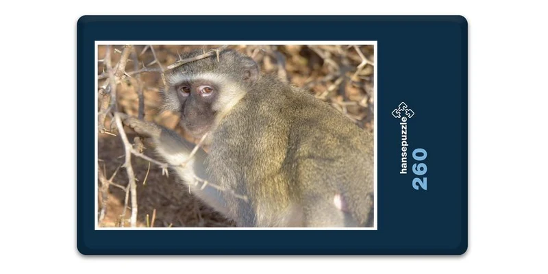 18279 Natur - Affe Puzzle