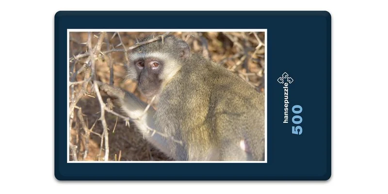 18279 Natur - Affe Puzzle