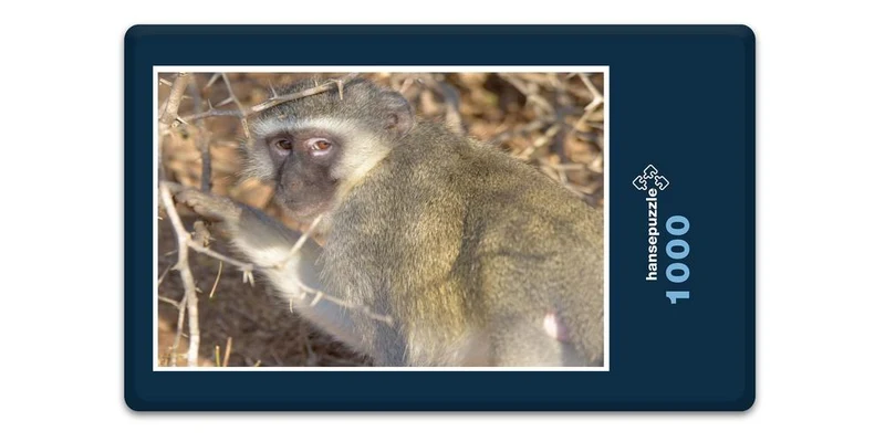 18279 Natur - Affe Puzzle