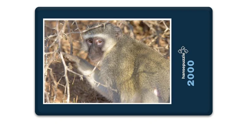18279 Natur - Affe Puzzle