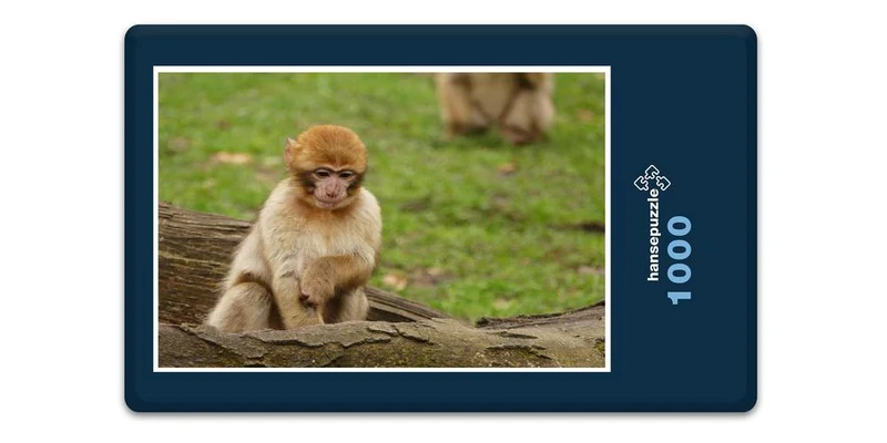 18294 Natur - Affe Puzzle