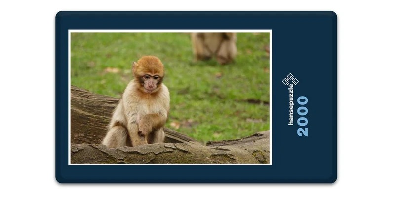18294 Natur - Affe Puzzle