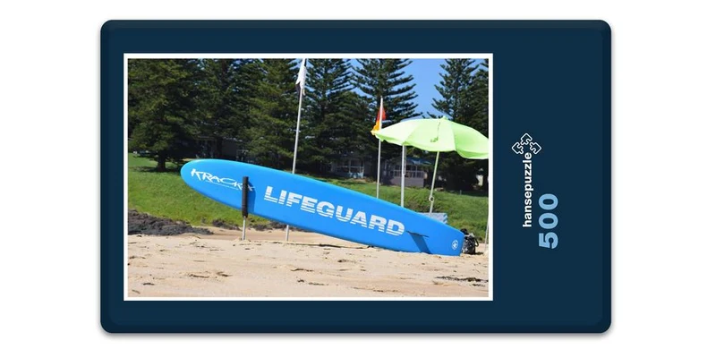 18257 Reisen - Lifeguard Puzzle