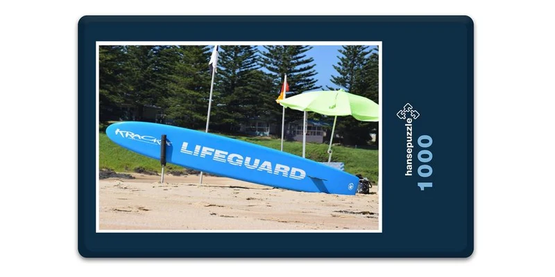 18257 Reisen - Lifeguard Puzzle