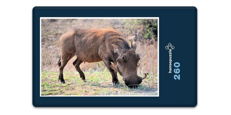 18275 Natur - Warzenschwein Puzzle