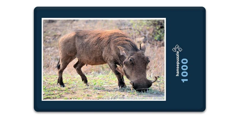 18275 Natur - Warzenschwein Puzzle